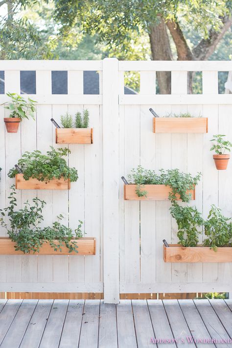 Addison's Wonderland: Our Under $40 DIY Outdoor Herb Wall! Diy Outdoor Wall, Patio Wall Planters, Screen Pergola, Pergola Wall, Addison's Wonderland, Pergola Modern, Herb Garden Wall, Wall Planters Outdoor, Pergola Diy