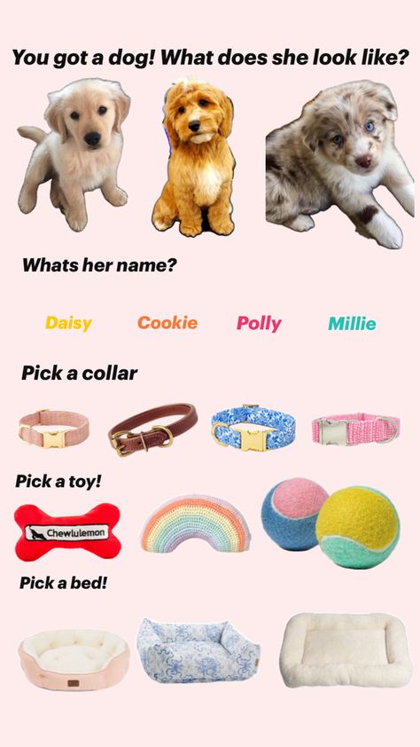 #cute #puppy #preppy #dogs Dog Supplies List, New Puppy Checklist, Puppy Checklist, Puppy Room, Preppy Dog, Very Cute Puppies, Super Cute Puppies, Cute Funny Dogs, Cute Dogs And Puppies