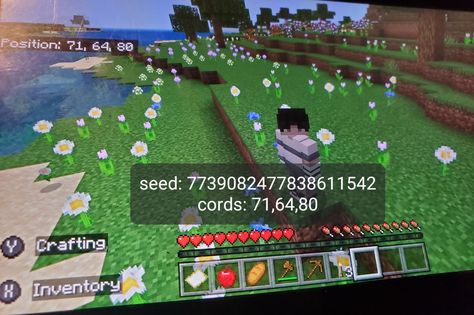 Minecraft Seeds Flower Field, Minecraft Seeds, Minecraft Seed, Flower Meadow, Minecraft Ideas, Flower Field, Animal Crossing, Soccer Field, Minecraft