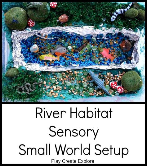 Play Create Explore: River Habitat Sensory Small World Setup - I love this Blog for ideas to help Lily learn while she plays! River Animals, Curriculum Themes, Water Unit, Sensory Tubs, Adventure Summer, Reggio Classroom, Sowing Seeds, Preschool Class, Water Projects