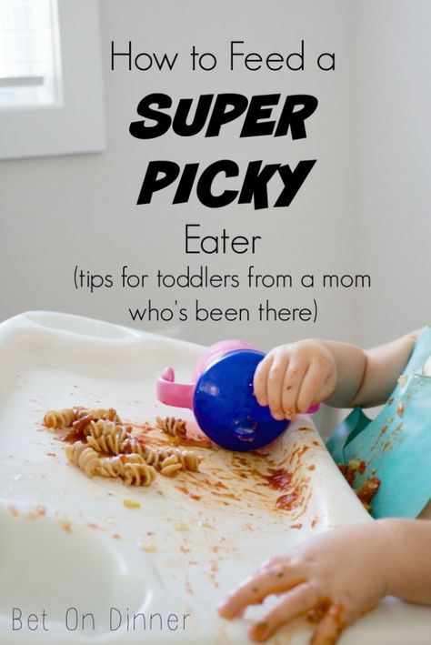 Picky Recipes, Healthy Recipes For Picky Eaters, Kids Plates Set, Recipes For Picky Eaters, Quick Clean Eating, Toddler Picky Eater, Picky Toddler Meals, Easy Toddler Meals, Toddler Dinner