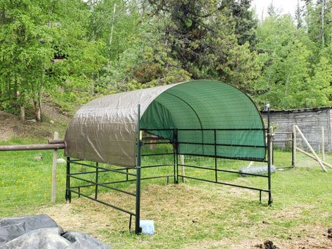 Temporary Horse Shelter, Pack Goats, Horse Stables Design, Cow Pen, Temporary Shelter, Horse Pens, Goat Shed, Livestock Shelter, Goat Shelter