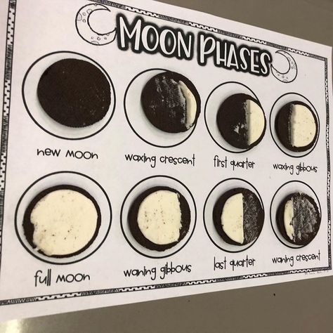 Moon Phase Oreo Activity, Oreo Phases Of The Moon, Moon Phases 1st Grade, Moon Phases Middle School, Oreo Moon Phases, Muffin Pan, Moon Phases, Oreo, Moon