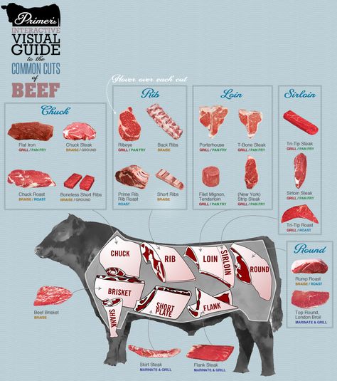 Visual Guide to the Common Cuts of Beef Beef Cuts Chart, Boneless Short Ribs, Cuts Of Beef, Beef Meat, Food Charts, Best Meat, Beef Cuts, Beef Ribs, How To Grill Steak