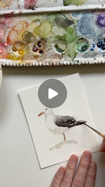 Seagull Watercolor Painting, How To Paint A Seagull, Seagull Painting Easy, Watercolour Seagull, Watercolor Animals Tutorial, Painted Seagulls, Watercolor Seagull, Watercolor Workbook, Seagull Craft