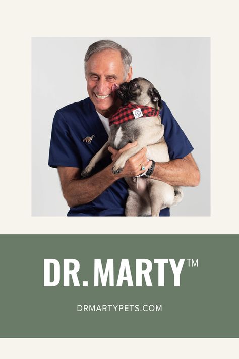 Dr Marty Goldstein | Learn more about us and our founder, Dr. Marty Goldstein! Dr Marty Dog Food, Dr Marty Dog Food Recipe, Food Doctor, Raw Pet Food, Home Doctor, Essential Vitamins And Minerals, Animal Science, Dog Cake, Essential Vitamins