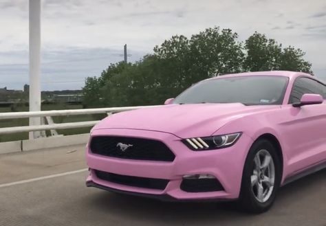 Light Pink Mustang, Pink Mustang, Hello Kitty Car, Pink Car Accessories, Mustang Gt500, Ford Mustang Shelby Gt500, Shelby Gt500, Pink Car, Ford Mustang Shelby