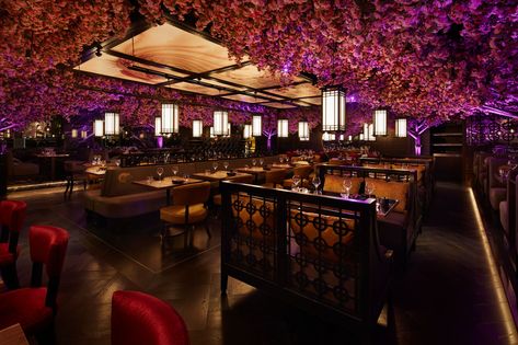 First look at spectacular and magical new Edinburgh restaurant Tattu which has indoor blossom trees - Edinburgh Live Traditional Chinese Interior Design, Traditional Chinese Interior, Edinburgh Restaurants, Chinese Interior Design, Luxury Restaurant, Asian Restaurants, Jw Marriott, Bar Interior, Modern Chinese