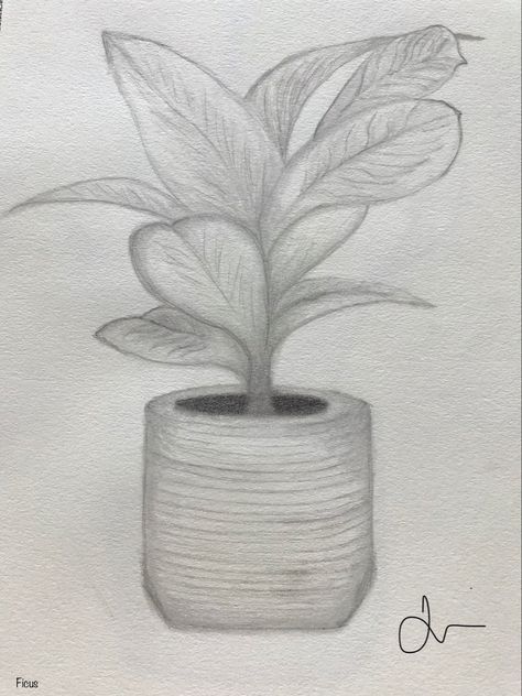 Graphite pencils on 400 series paper Easy Architecture Sketch, Vase Plant, Wine Painting, Leafy Plants, Hand Embroidery Kit, Graphite Pencils, Mehndi Designs For Hands, Architecture Sketch, Paint Party