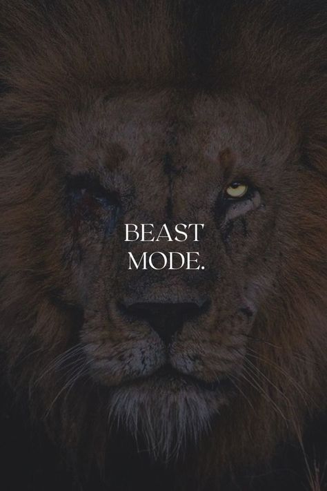 Sigma Mindset Wallpaper, Beast Mode On Wallpaper, Lion Motivation Wallpaper, Morning Motivation Wallpaper, Dark Lion Wallpaper, Beast Mode Wallpapers, Motivational Wallpaper Men, Dark Motivational Wallpaper, Animation Motivation