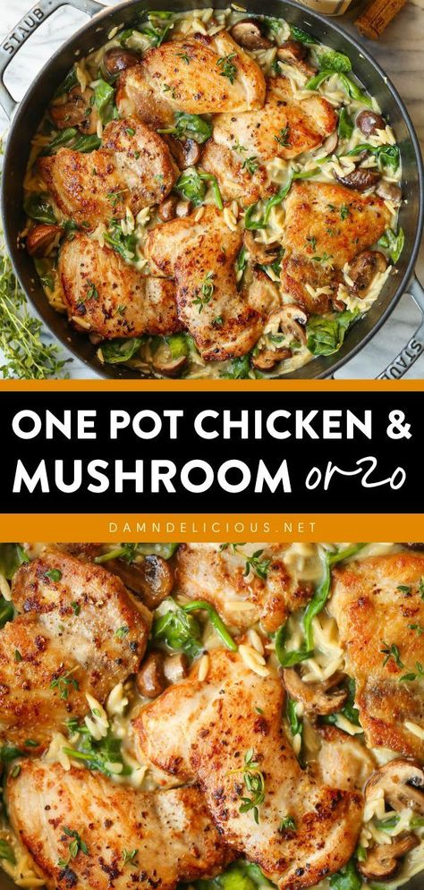 Chicken And Mushroom Orzo, One Pot Chicken Orzo, Mushroom Orzo, Creamy Orzo, Orzo Recipe, Chicken Mushrooms, Chicken And Mushroom, Orzo Recipes, Chicken Orzo