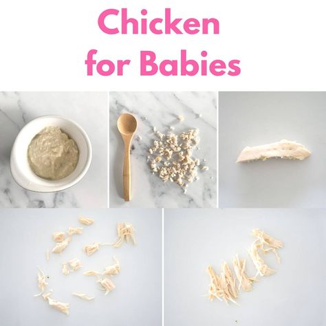 Chicken for Babies (BLW & puree, with recipes) - Creative Nourish Chicken For Babies, Chicken Soup For Babies, Meat For Babies, Chicken Puree, Soup For Babies, Blueberry Spinach Smoothie, Homemade Baby Food Recipes, Chicken Baby Food, Sweet Potato Recipes Roasted