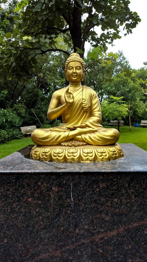 Buddha Statue Garden, Golden Buddha Statue, Gautam Buddha, Golden Buddha, Temple Design For Home, Lord Buddha, Visual Board, Frame Gallery, Temple Design