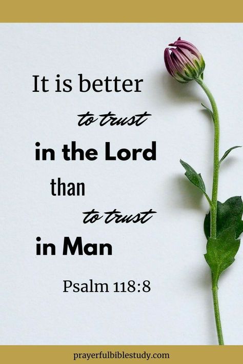 Psalm 118 8, Trust God Quotes, God Is In Control, God Is Love, Trust In The Lord, Ayat Alkitab, Encouraging Bible Verses, Bible Verses Quotes Inspirational, Biblical Quotes