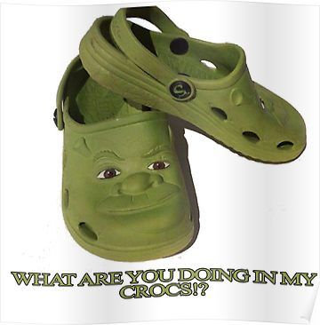 Shrek Crocs, Shrek Poster, Shrek Memes, Oppa Gangnam Style, Goofy Pictures, Bodo, Very Funny Pictures, Shrek, Really Funny Pictures