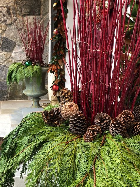 Red Dogwood Decor, Red Twig Dogwood Crafts, Birch Decorations, Winter Containers, Red Dogwood, Porch Pots, Christmas Outdoors, Red Twig Dogwood, Christmas Greens