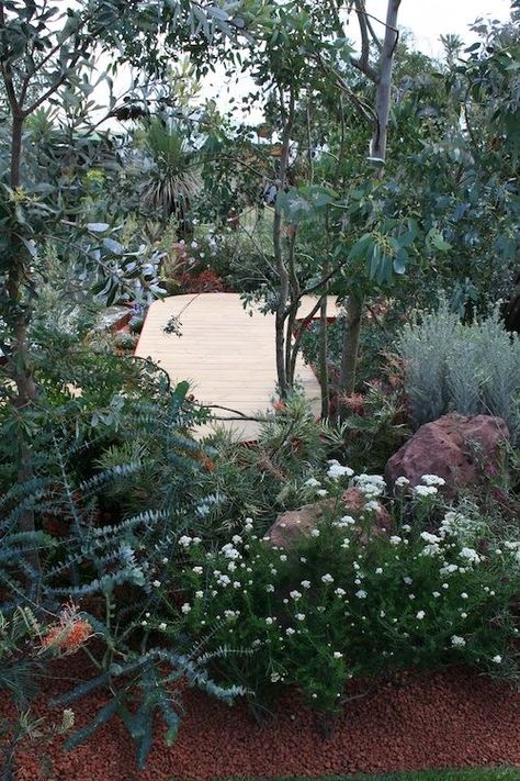 Australia Garden, Australian Garden Design, Bush Garden, Australian Native Garden, Essence Of Australia, Video Garden, Australian Garden, Australian Native Plants, Coastal Gardens