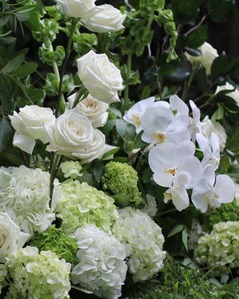 A green and white color palette is both modern and classic 🤍 • • • • • • #tampabridetobe #tampaflorida #tampaweddings #weddinginspo #weddingflowers #weddinginspiration #floridawedding #hydrangea #hydrangeawedding #modernwedding #weddingdecor #weddingday #weddingflorist Green And White Color Palette, White Color Palette, Hydrangeas Wedding, July 28, Tampa Florida, Bridal Bouquets, Florida Wedding, Wedding Florist, Green And White