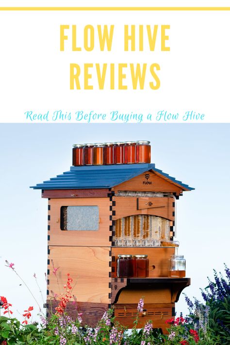 Learn about all of the features the Flow Hive has to offer.  This Flow Beehive review details all of the pros and cons of the Flow Hive. Flow Hive, Bee Keeping, Pros And Cons, Bee Hive, Worth It, Build Your Own, Bee