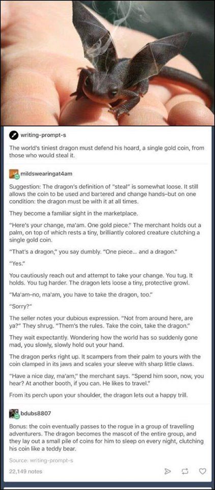 Slowly Slowly, Tiny Dragon, Dungeons And Dragons Memes, Story Writing Prompts, Dragon Memes, Dnd Funny, Creative Writing Prompts, Story Prompts, Book Writing Tips