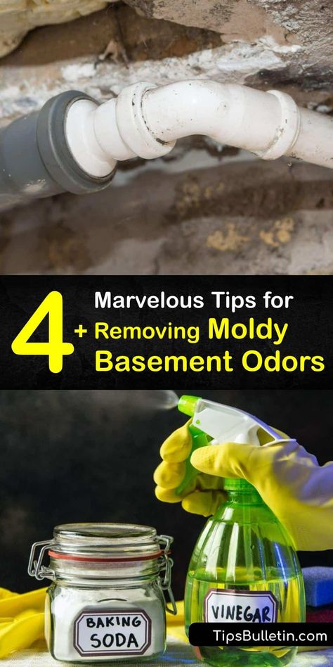 Cleaning With White Vinegar, Basement Odor Eliminator, Diy Mold Remover, Basement Odor, Mold Smell, Skunk Smell, Mold And Mildew Remover, Mold Spray, Smell Remover