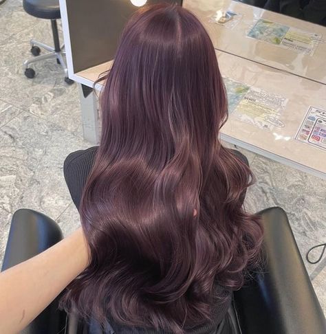 Pelo Color Vino, Lavender Hair Colors, Dark Purple Hair, Plum Hair, Korean Hair Color, Hair Color Underneath, Wine Hair, Cute Hair Colors, Hair Tint