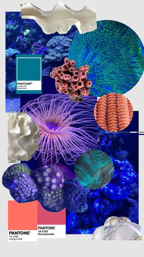 #miprimershuffle #myfirstshuffle Sea Aesthetic Fashion, Coral Mood Board, Marine Life Fashion, Ocean Moodboard, Mood Board Fashion Inspiration, Fashion Sketchbook Inspiration, Fashion Portfolio Layout, Textiles Sketchbook, Fashion Design Template