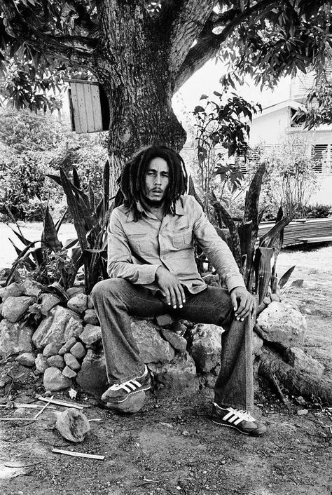 Yoga Life Quotes, Image Bob Marley, Rastafarian Culture, Bob Marley Legend, Bob Marley Pictures, Bob Marley Art, Robert Nesta, Unseen Images, Nesta Marley