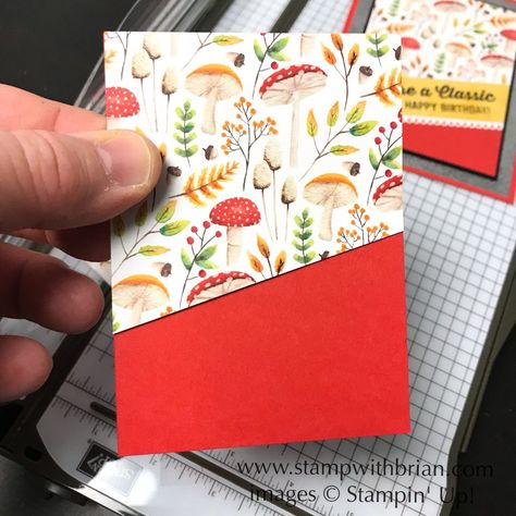 Designer Paper Cards, Memories Box, Cards Homemade, Gardening Diy, Card Making Tips, Design Cards, Paper Crafts Card, Fold Cards, Up Book