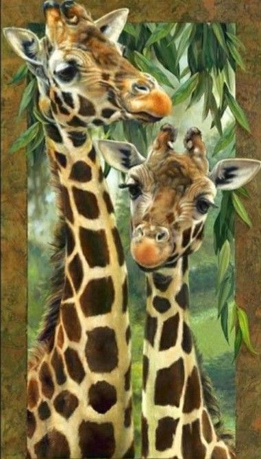 Giraffe Pictures, Giraffe Art, A Giraffe, Cute Giraffe, Baby Giraffe, Arte Animal, African Animals, Giraffes, Sweet Animals