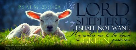 The Lord is my shepherd. Psalm 23 Wallpaper, 23 Wallpaper, Psalm 23 1, The Lord Is My Shepherd, Bible Verse Background, Christian Wallpapers, Verses Wallpaper, Scripture Pictures, Encouraging Bible Verses