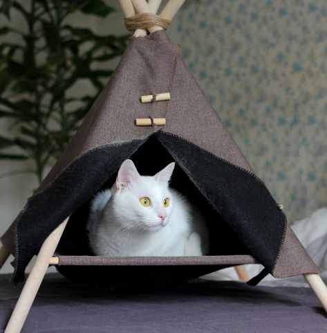 How to Make a DIY Pet Teepee in 6 Easy Steps Diy Cat Teepee, Cat Tent Diy, Diy Cat Hammock, Diy Cat Tent, Dog Teepee, Cat Teepee, Diy Cat Bed, Diy Teepee, Pet Teepee