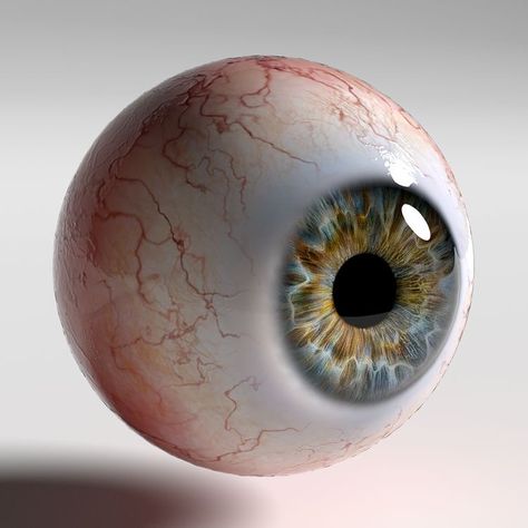 How To Render, Eyeball Art, Human Eye, Anatomy Art, Eye Art, Human Anatomy, Eye Drawing, Zbrush, Reference Photos