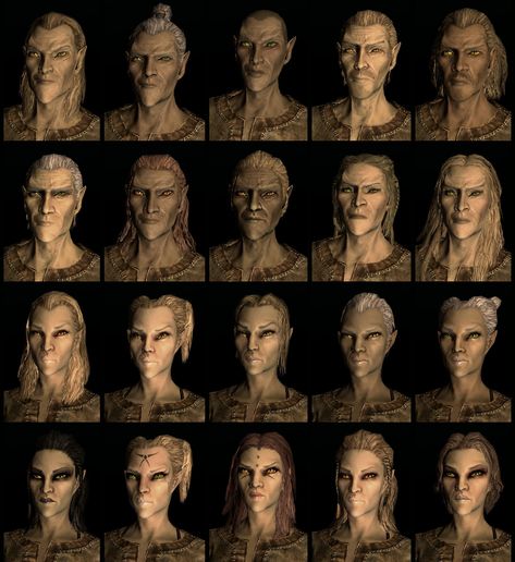 Skyrim hairstyles and face markings High Elf Skyrim, Skyrim Altmer, High Elf Names, Skyrim Elf, Skyrim Races, Skyrim Oc, Fantasy Inspo, Fantasy Genre, Fantasy Realm