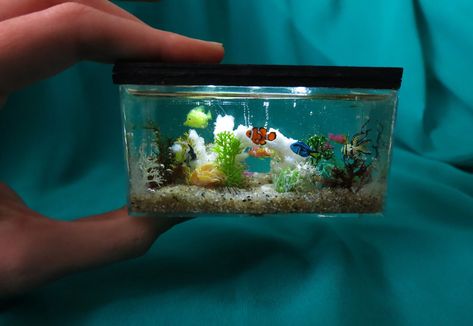 2000s Aquarium, Lucy Core, Miniature Aquarium, Ocean Stuff, Mini Aquarium, Cool Fish, Frutiger Aero, Miniature Crafts, Tiny Things