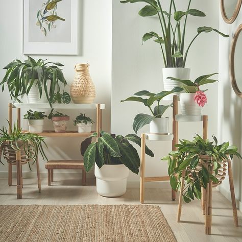 Ikea Plants, Ikea Catalog, نباتات منزلية, Interior Decorating Tips, Plant Decor Indoor, House Plants Decor, Style Deco, Ferm Living, Scandinavian Interior