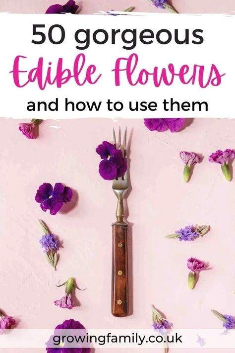 Ultimate edible flowers guide: list of 50 blooms - Growing Family Edible Flowers List Of, Flowers List, Flowers Guide, Edible Flower Garden, Travel Crafts, Eco Friendly Garden, Plants For Hanging Baskets, Flower Guide, Dandelion Flower