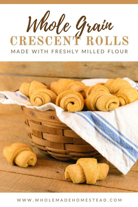 Fresh Milled Rolls, Fresh Milled Dinner Rolls, Cresent Roll Dough, Crescent Roll Recipe, Simple Homestead, Homestead Cooking, Homemade Crescent Rolls, Thanksgiving Rolls, Savory Spice