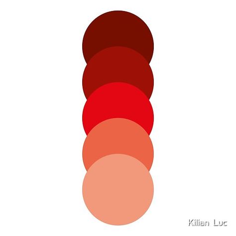 Red Colour Palette Shades, Red Shades Colour Palettes, Shades Of Red Color Palette, Shades Of Red Color, Color Schemes Design, Color Pallete, Red Colour Palette, Brown Color Palette, Color Circle