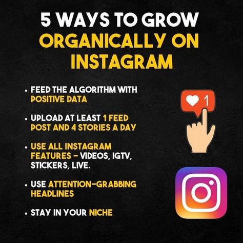 The Ultimate Guide to Instagram Growth Mastery: Elite Tips Instagram Growth Strategies, Online Marketing Social Media, Instagram Business Marketing, Social Media Content Strategy, Social Media Landscape, Internet Marketing Business, Social Media Management Services, Grow Instagram, Social Media Marketing Manager