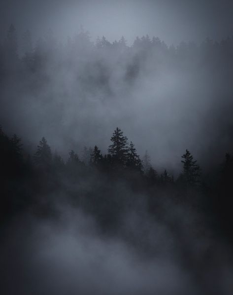 A serene fine art photograph of a fog-covered Swiss alpine forest, with silhouetted trees fading into the mist. Green Fog Aesthetic, Misty Dark Forest, Foggy Portrait Photography, Dark Foggy Forest, Mist Aesthetic, Winter Gothic, Foggy Landscape, Fog Photography, Lauterbrunnen Switzerland