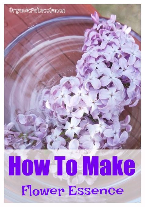 How to make flower essences with backyard flowers. Diy Flower Oil, Rose Essence Recipe, How To Make Perfume Out Of Flowers, How To Extract Fragrance From Flowers, Flower Essences Diy, How To Make Homemade Perfume With Flowers, Lilac Oil Diy, Flower Healing, Flower Essences Remedies