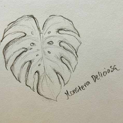 Monstera drawing Monstera Leaf Sketch, Monstera Sketches, Monstera Plant Sketch, Monstera Deliciosa Drawing, Monstera Plant Drawing, Dorm Paintings, Leaves Sketch, Plant Sketches, Pencil Drawings Of Flowers