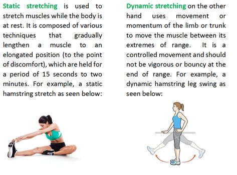 Static Vs Dynamic Stretches, Dynamic Vs Static Stretching, Dynamic Stretching Exercises, Body Improvement, Static Stretching, Hamstring Muscles, Dynamic Warm Up, Muscle Mommy, Dynamic Stretching