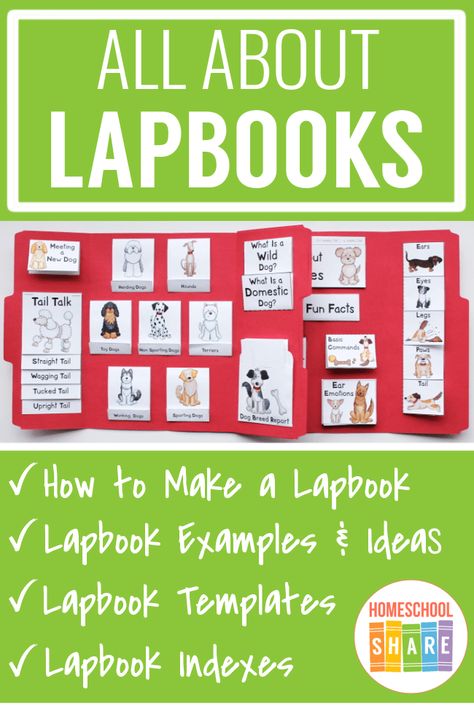 This page includes everything you need to get started with lapbooks! You'll find links to a guide, templates, ideas, and lapbook indexes. Preschool Transportation Crafts, Preschool Transportation, Lapbook Ideas, Lap Book Templates, Graphic Organizer Template, Lap Books, Transportation Crafts, Transportation Preschool, Homeschool Projects