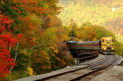 And the views along the way during the 1 hour and 45 minute trip will have you staring outside in wonder. Fall In New Hampshire, New Hampshire Fall, Fall Foliage Map, Conway New Hampshire, North Conway Nh, Train Trips, Autumn Photos, North Conway, Heritage Railway