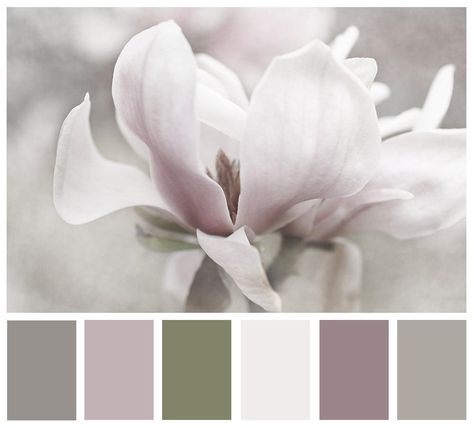 Lavender Ideas, Magnolia Print, Grey Lavender, Wedding Purple, Natural Palette, Color Palate, Design Seeds, Color Harmony, Magnolia Flower