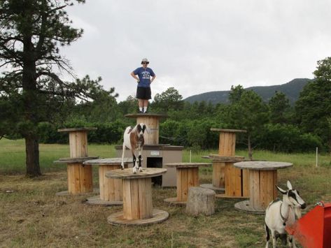 Goat Tower, Goat Playground, Goats, Tower