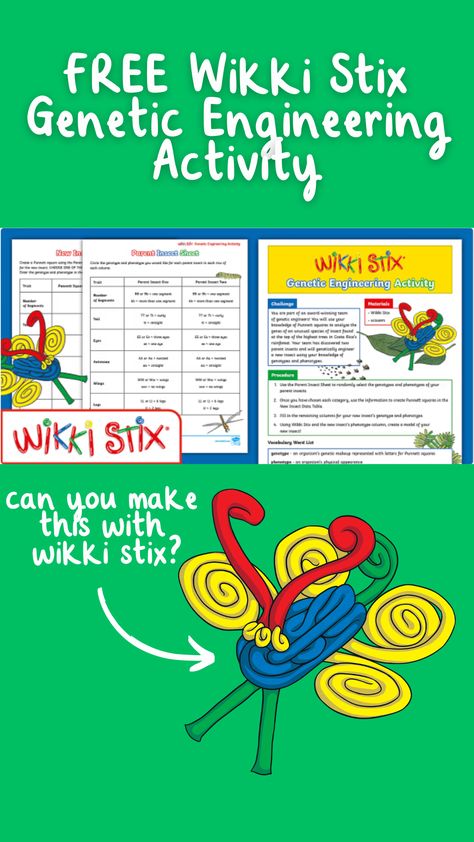 Wikki Stix Ideas, Wikki Sticks, Punnett Squares, Stem Elementary, Engineering Activities, Steam Education, Genetic Engineering, Elementary Activities, Stem Steam