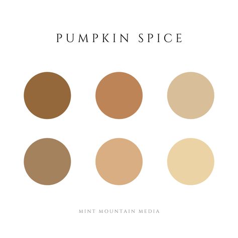 Pumpkin Spice Color Palette Spice Color Palette, Fall Color Pallet, Color Palette Brand, Mixing Paint Colors, Oh My Gourd, Autumn Palette, Brand Palette, Branding Wedding, Black Shutters